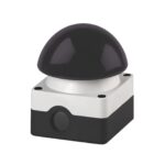 Grobhandtaster (Pilztaster) schwarz