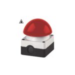 Grobhandtaster (Pilztaster) rot